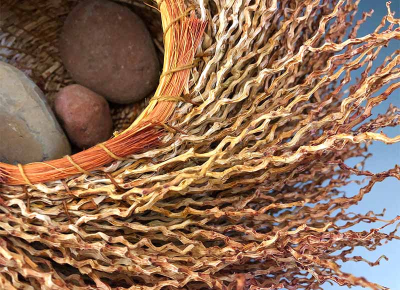 Date Palm Inflorescense basket